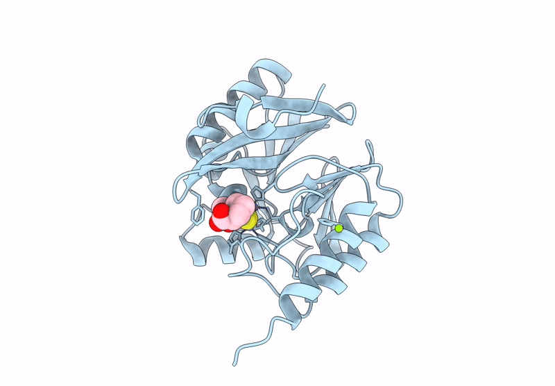9CV1 image