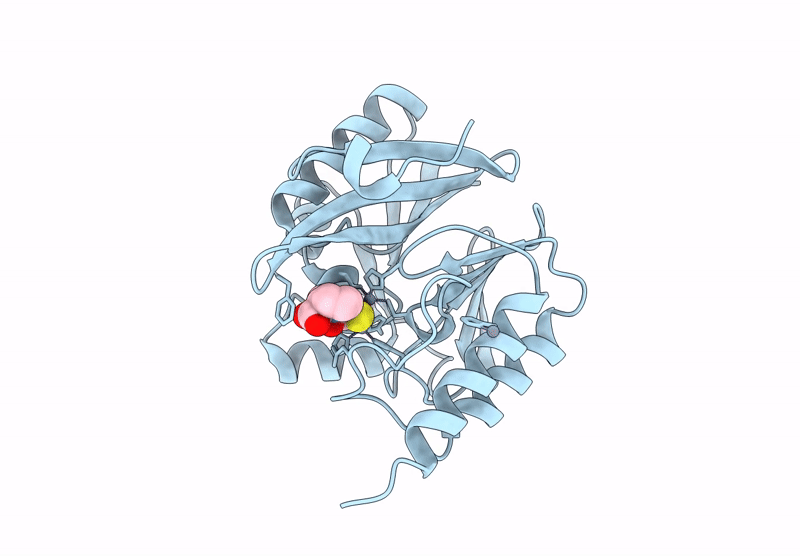 9CV2 image