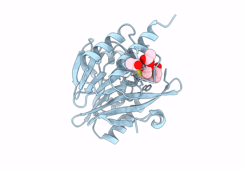 9CV3 image