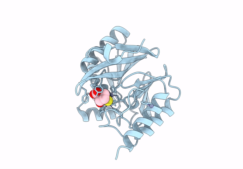 9CV4 image