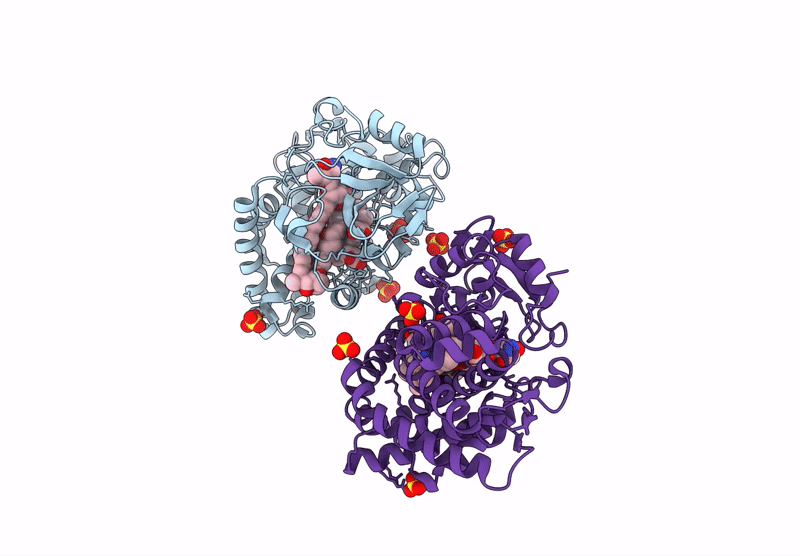 9CV8 image