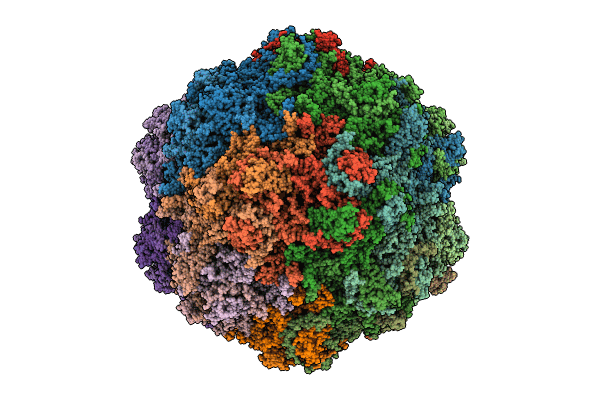 9CV9 image