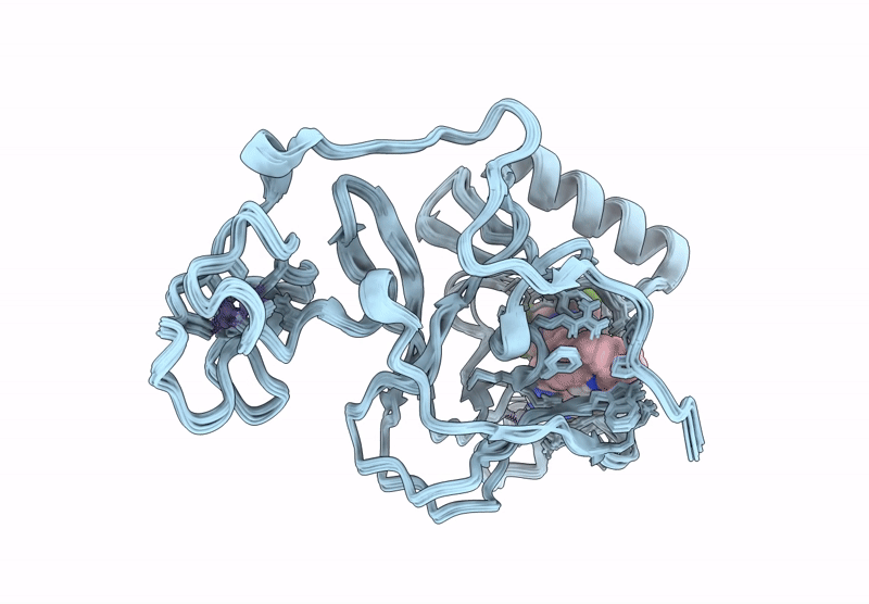 9CVD image