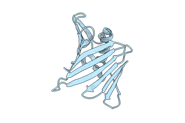 9CWL image