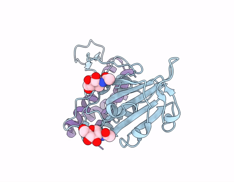 9CWP image