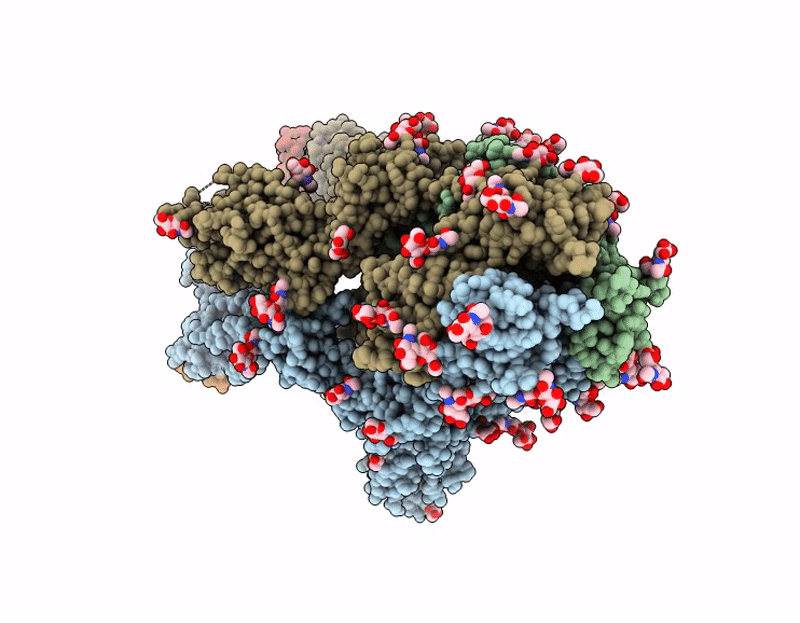 9CWR image