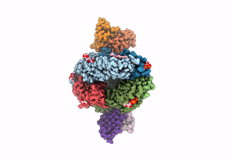 9CXA image