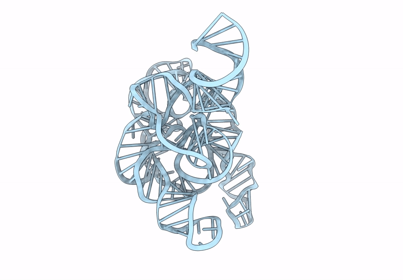 9CXF image