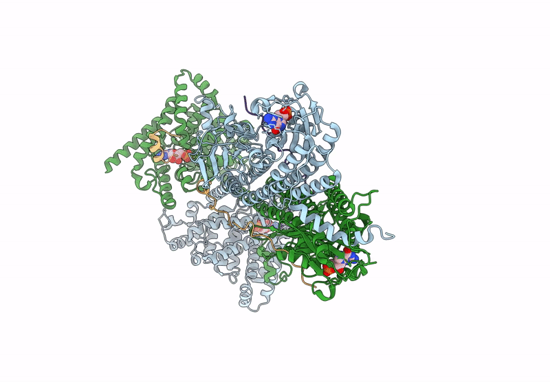 9CXH image
