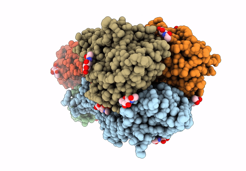 9CXU image