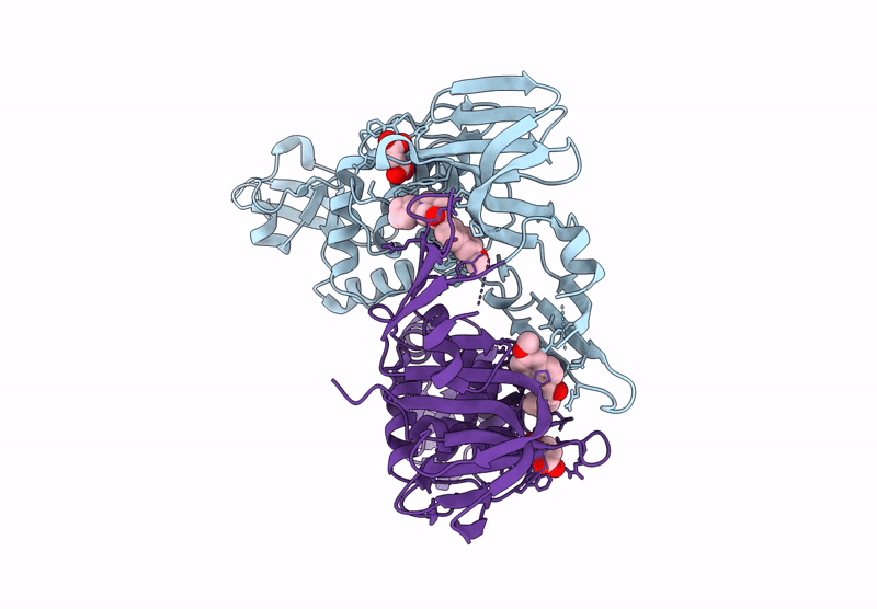 9CYB image