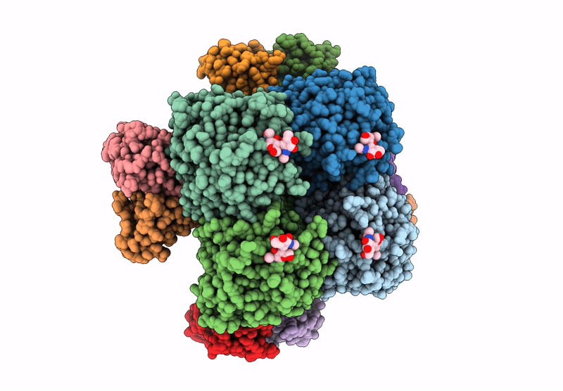 9CYH image