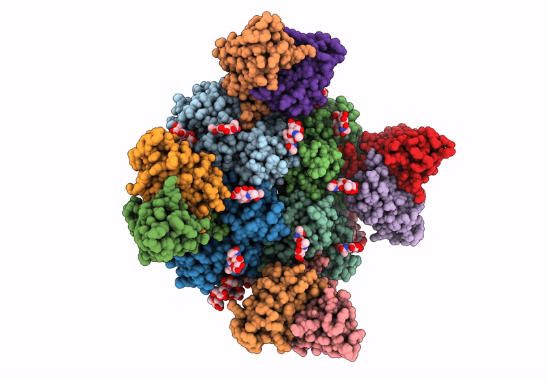 9CYI image