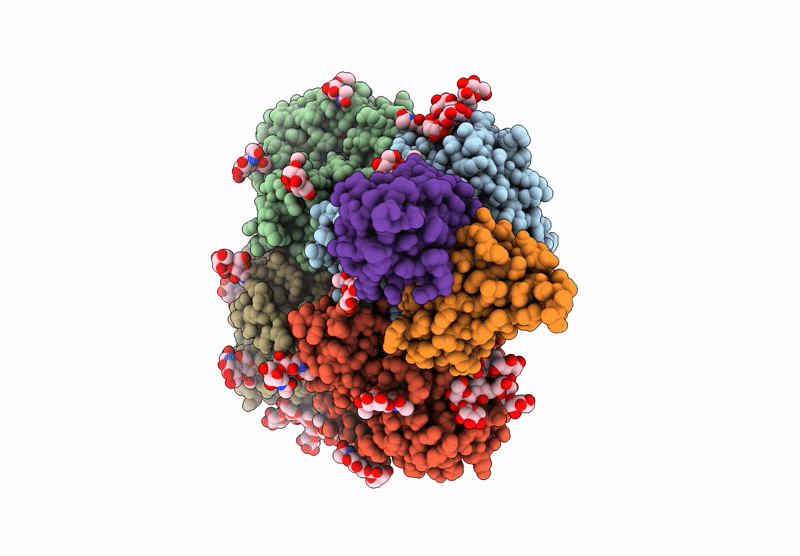 9CYJ image