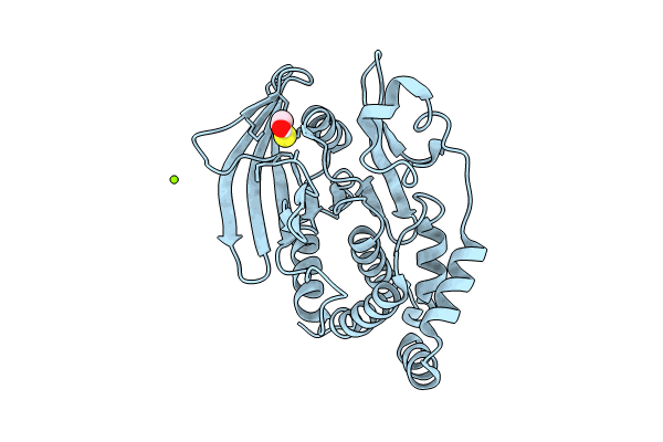 9CYR image