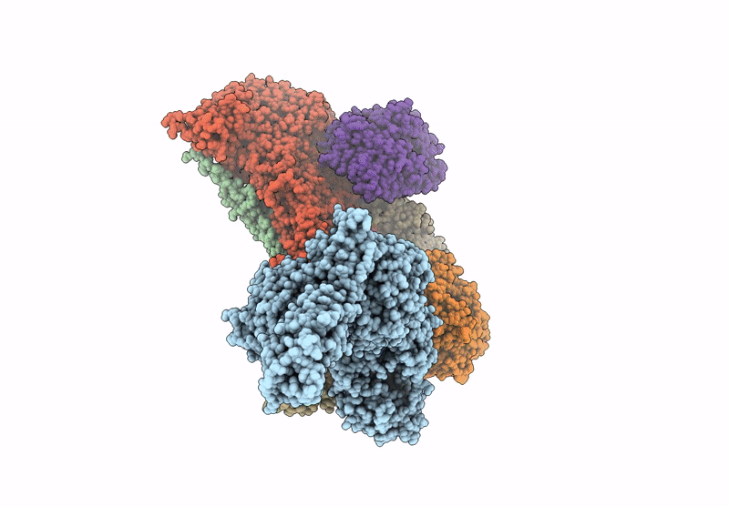 9CYX image