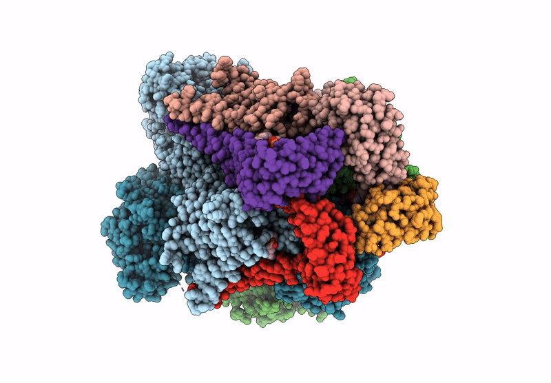 9CZH image