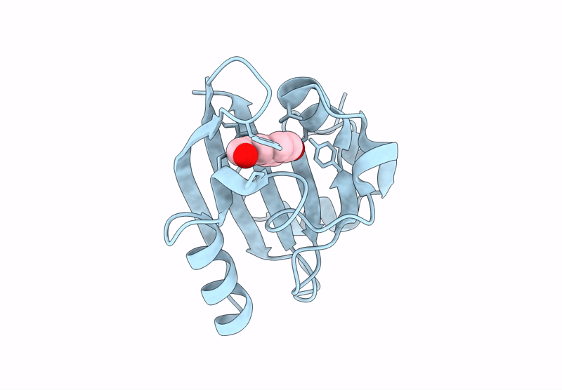 9D10 image