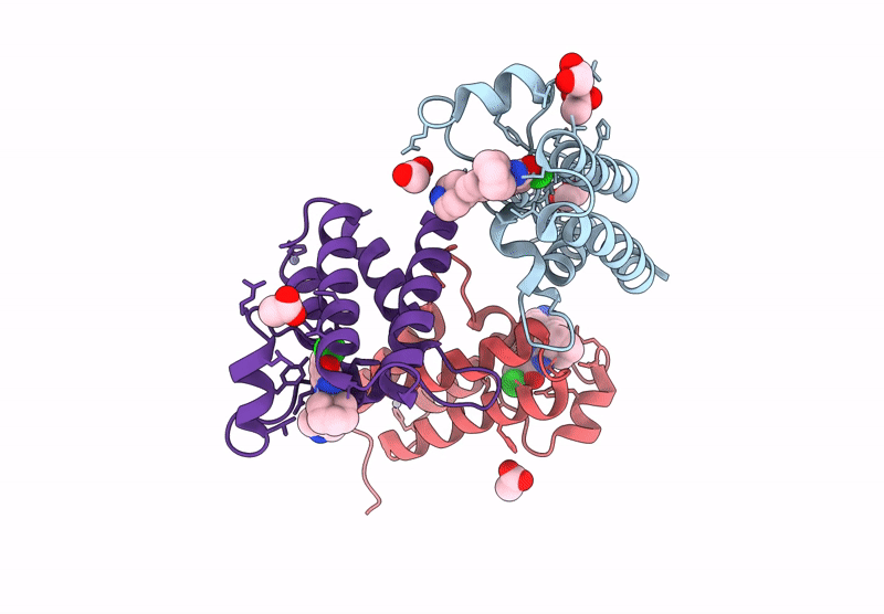 9D11 image