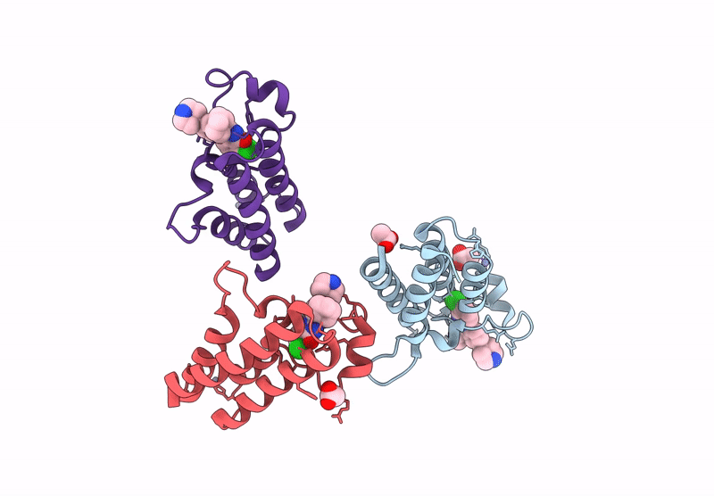 9D12 image