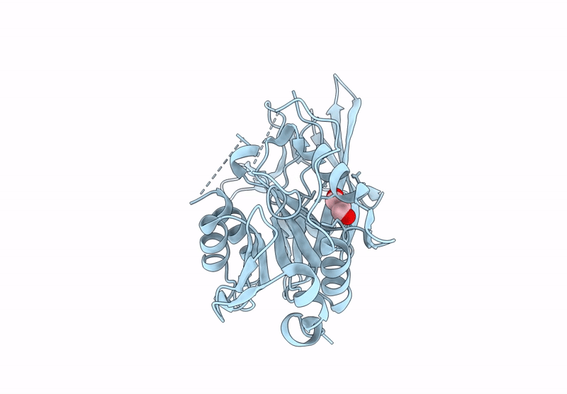 9D13 image