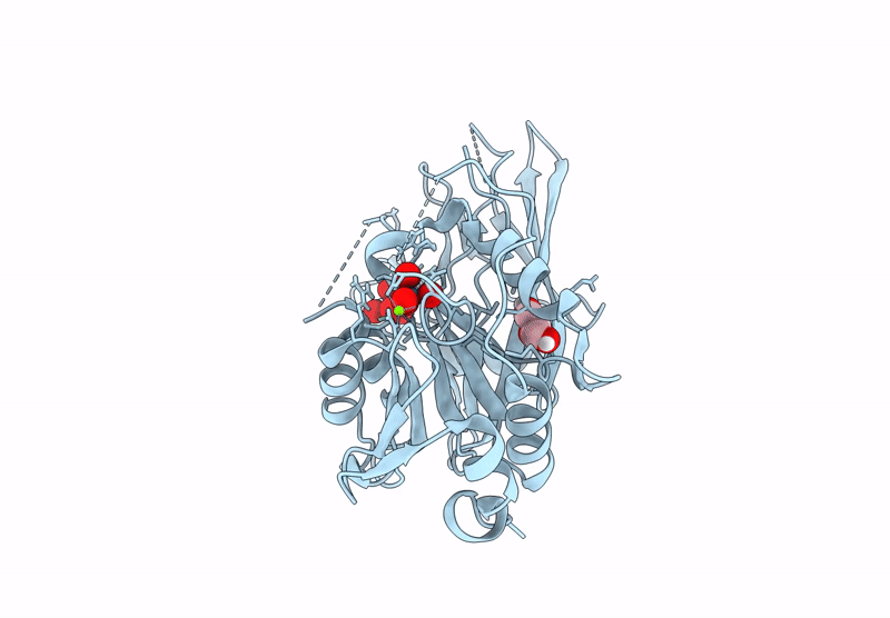 9D15 image
