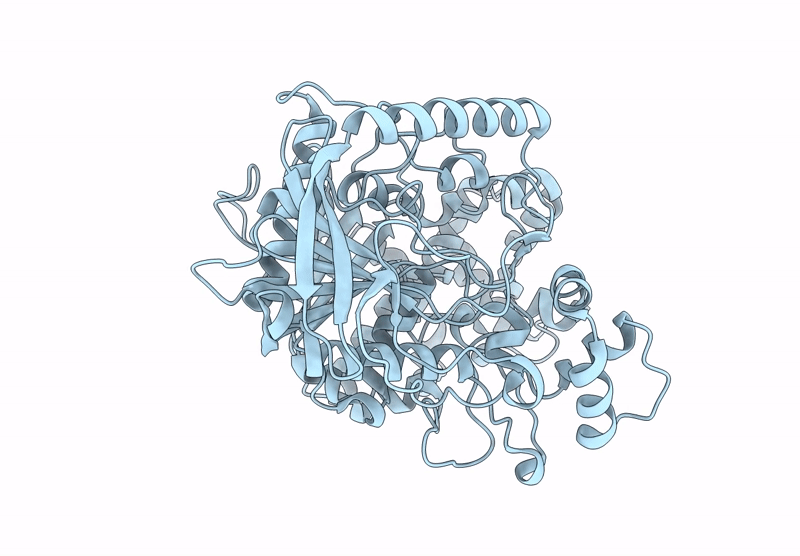 9D1J image