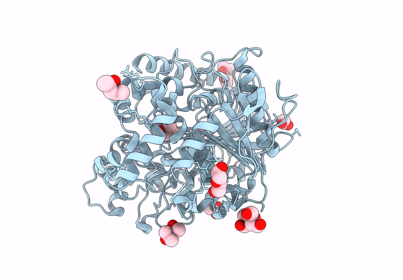 9D1N image