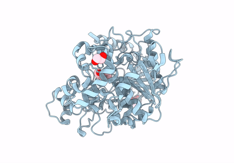 9D1O image