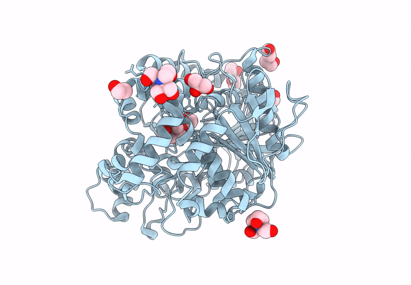9D1P image
