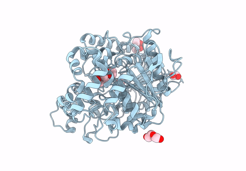 9D1Q image