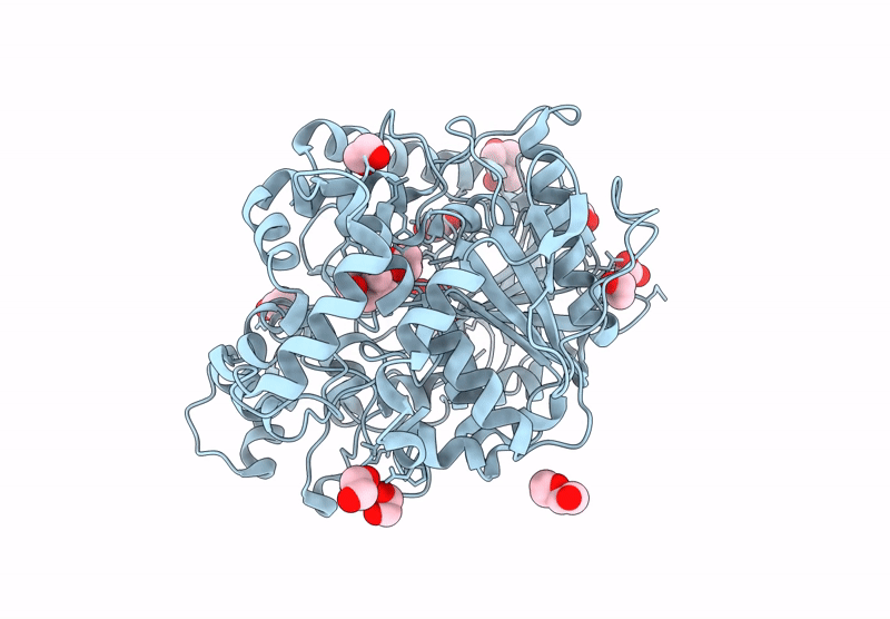 9D1R image