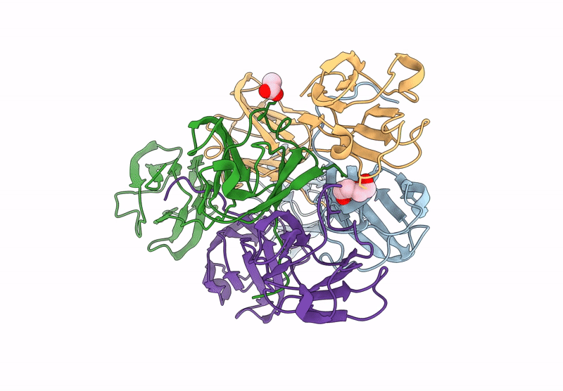 9D1V image
