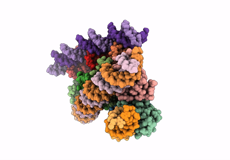 9D22 image
