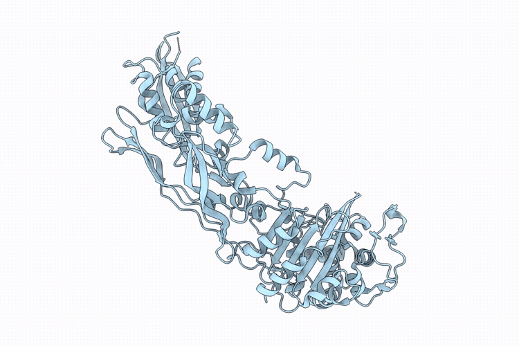 9D25 image