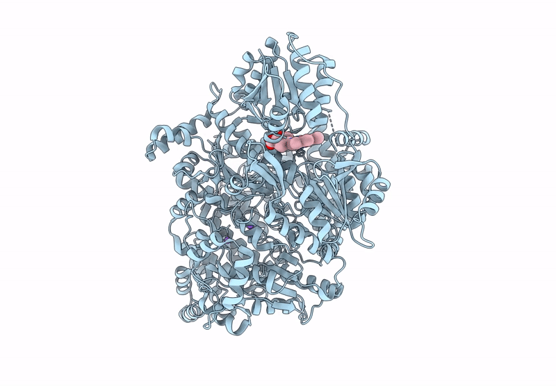 9D26 image