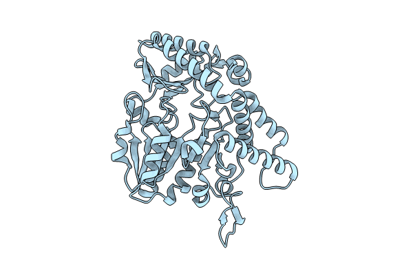 9D2D image