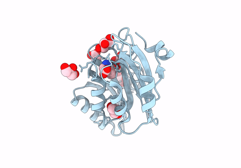 9D2R image