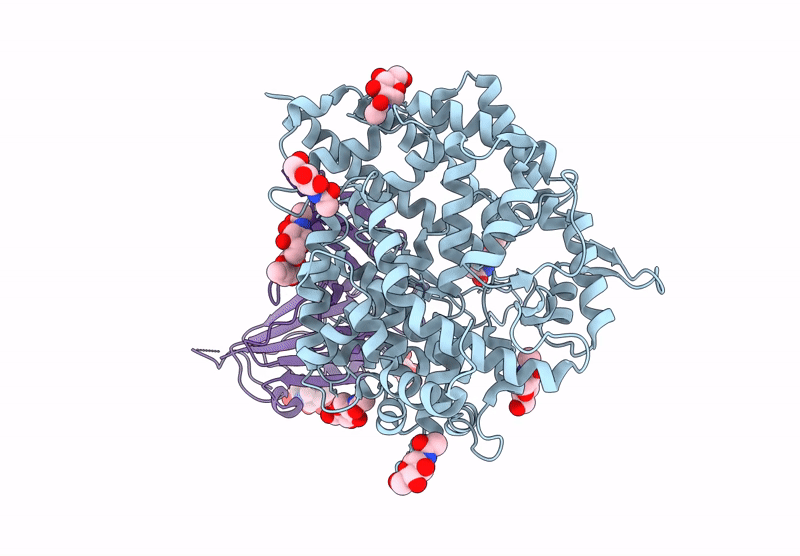 9D32 image