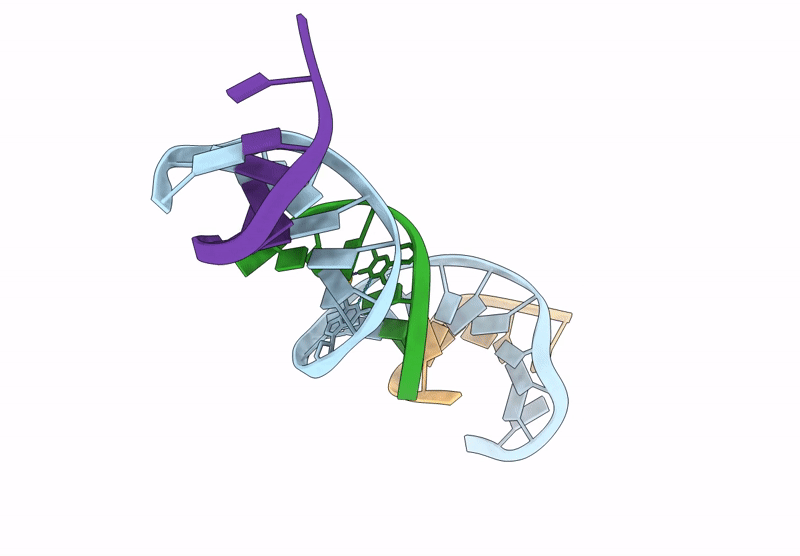 9D33 image