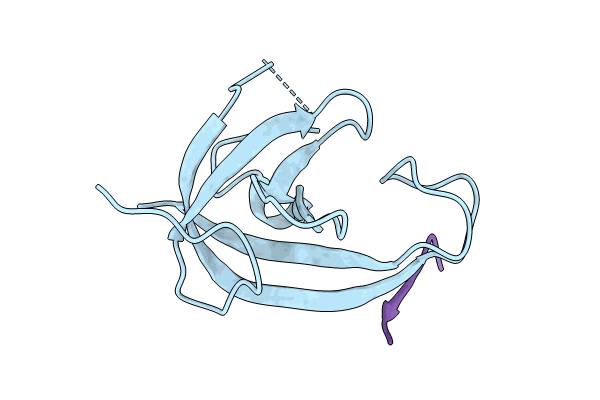 9D34 image