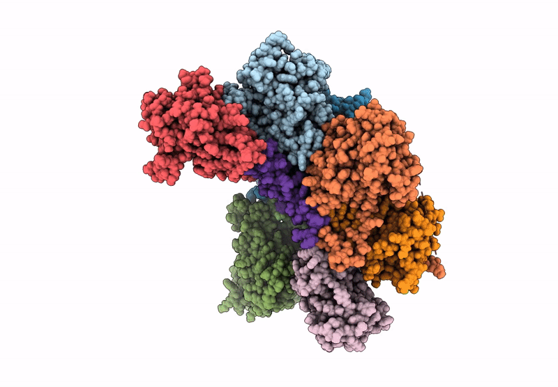 9D35 image