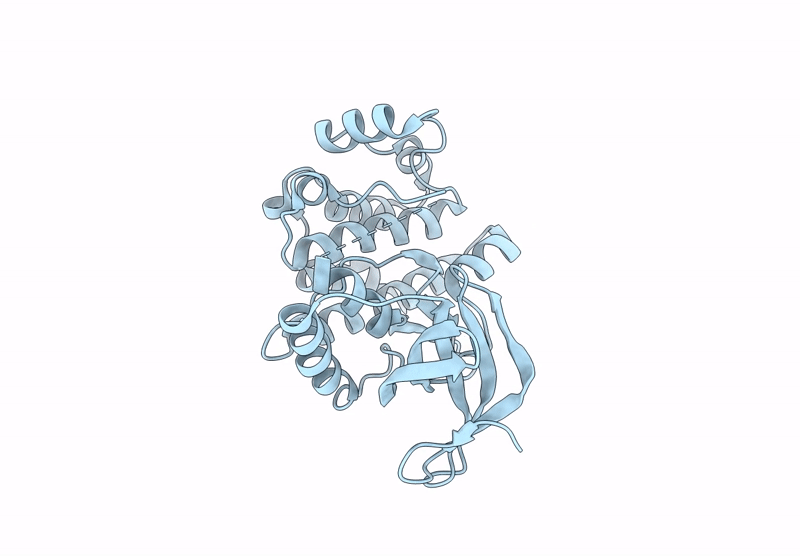 9D3F image