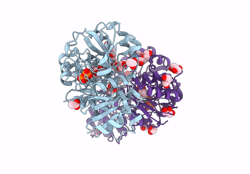 9d3h image