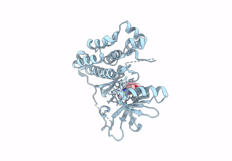 9D3W image