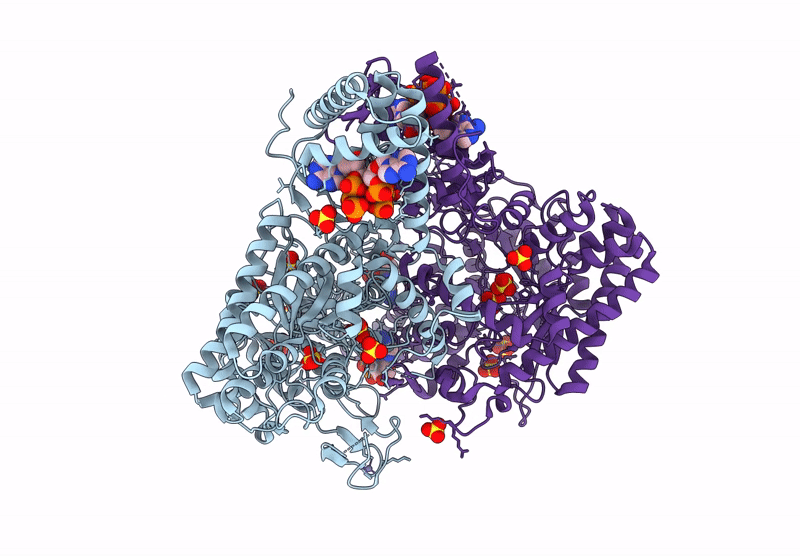 9D3X image