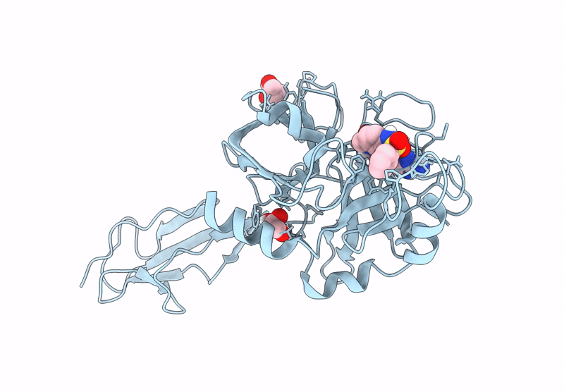 9D40 image