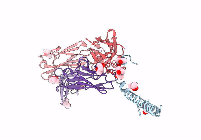 9D41 image