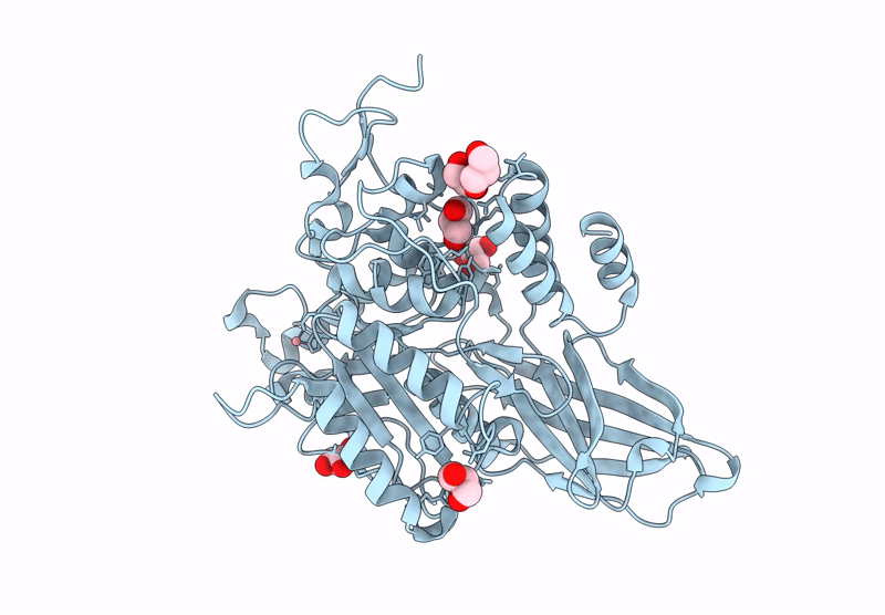 9D44 image