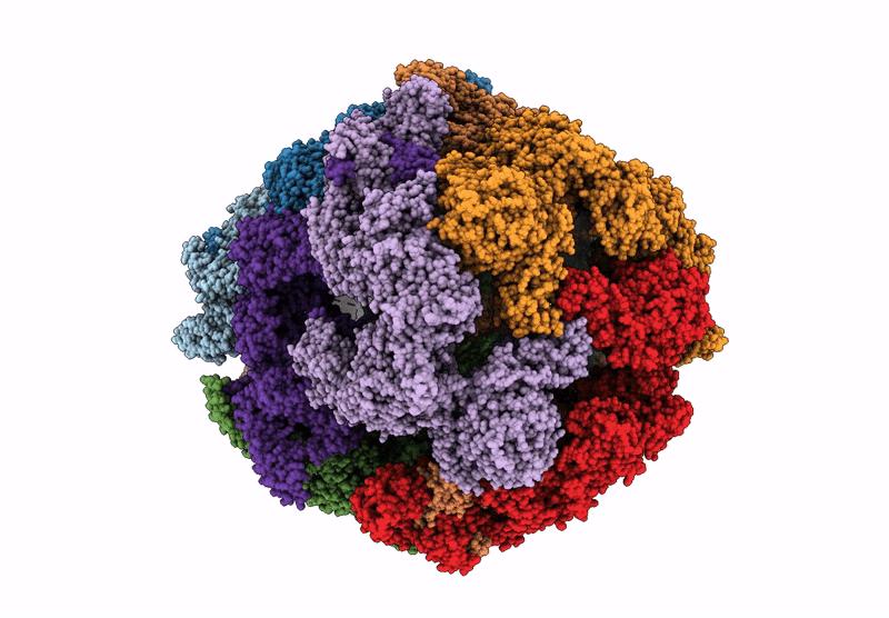 9D48 image
